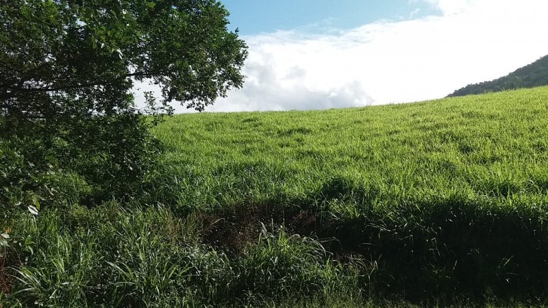 Terreno em Condomnio - Venda - Ubatiba - Maric - RJ